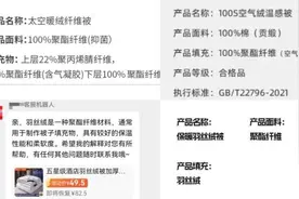 羽丝绒不是羽绒、大豆被里没有大豆……五花八门的冬被该怎么选？图片