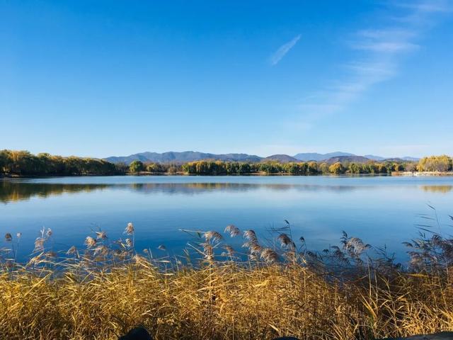 在圆明园看一片颠倒的世界