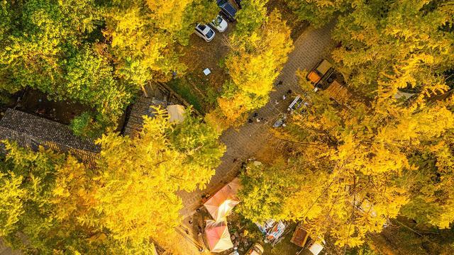 腾冲，真的值得来一趟！丨解锁云南小众宝藏地图·腾冲科学家论坛特别篇