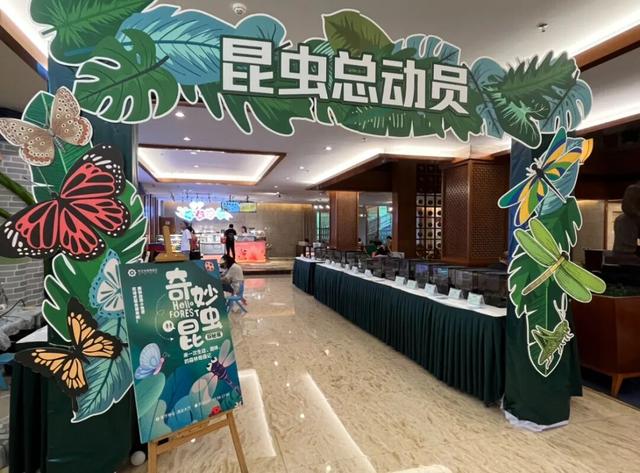 金秋有礼 绵阳有你 ‖ 霜降罗浮暖，亲子时光里的秋日童话