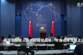 外交部发言人谈中欧经贸关系：开放合作才是正道图片