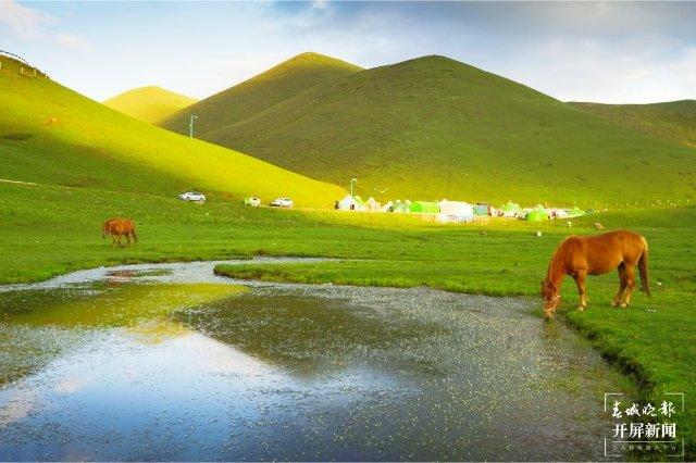 开屏策划｜暑假进入倒计时！关于游云南，它们有话说……