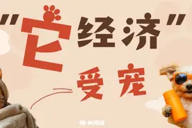 “毛孩子”也能去商场？宠物友好型社会来袭！图片