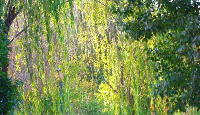 旌德，红黄橙绿白～