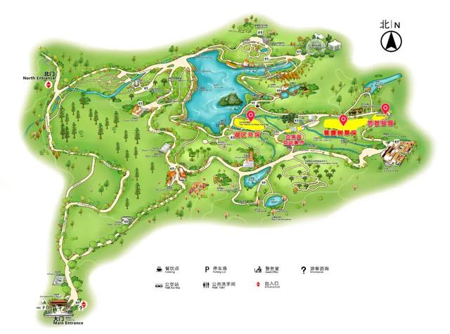 就在明天！深圳又一花展来了