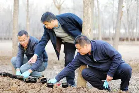 阳信这笔林下蚯蚓养殖账算得明白图片