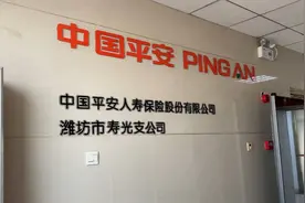 潍坊：投保平安寿险 承诺25年返本落了空图片