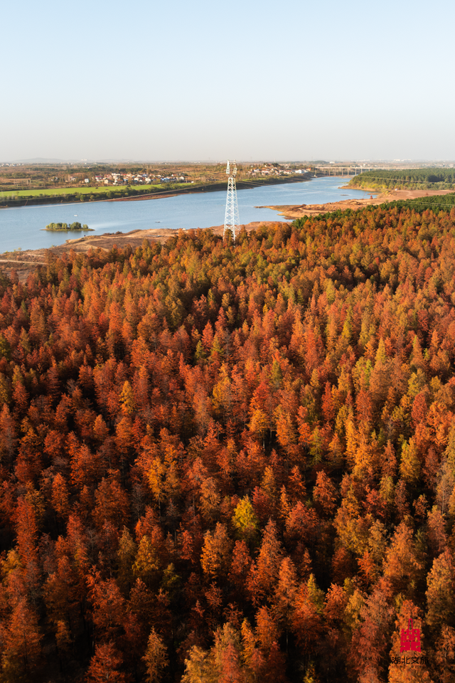 寒潮倒计时！再不来就迟了