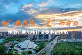 “新”意盎然，“进”而有为——我国外贸加快打造竞争新优势图片