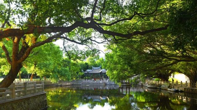 这个周末一定要“营”！