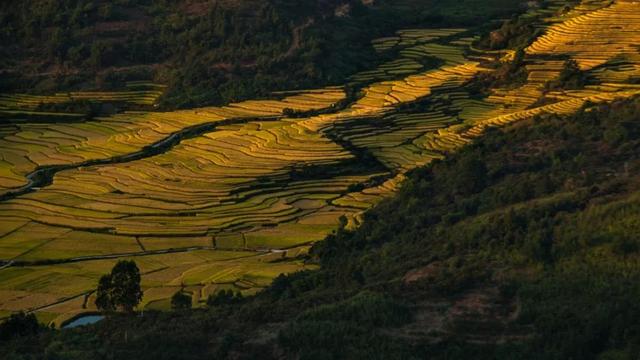 不用远行！龙岩就藏着五彩斑斓的秋色~