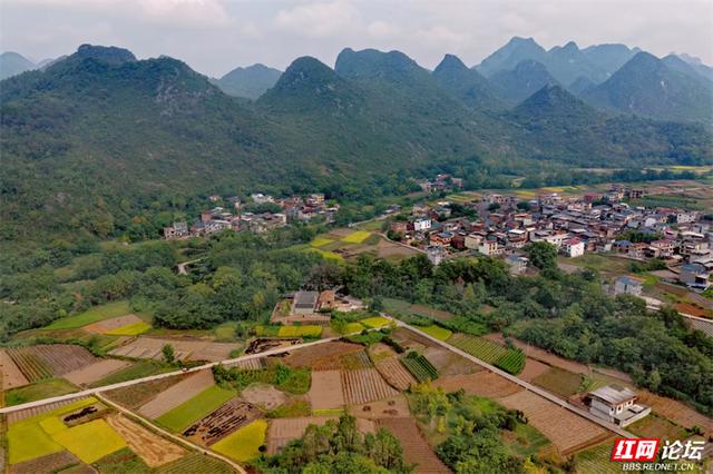 跟着网友游桂林丨大圩镇上桥村：水墨般的古村，藏着你向往的宁静