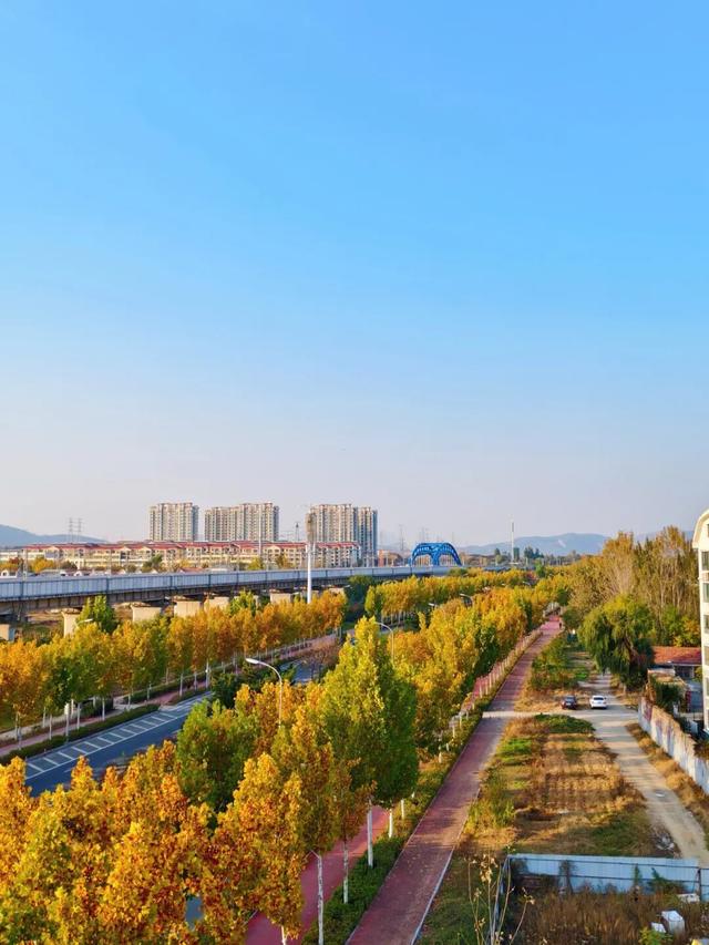 日照街道的这些地方！美极了！