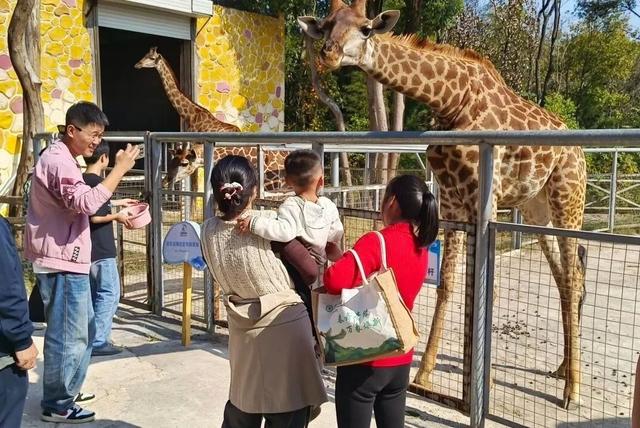 贵溪人，秋高气爽，去这儿玩！