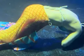 “美人鱼”表演时晕倒溺水，最新消息→图片