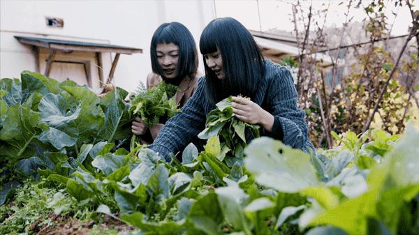 8个好友在福建抱团山居：减少物欲，尝试在山里养育下一代