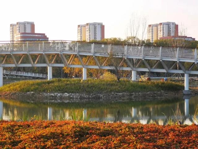 初秋→深秋，昌平这7条赏秋线路必冲！