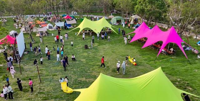 想撒野，来紫帽！