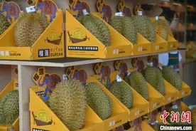 海南首家国产榴莲品牌旗舰店在三亚开业图片