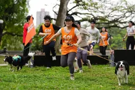 深圳这些赛事超萌、超燃！超多名场面！图片