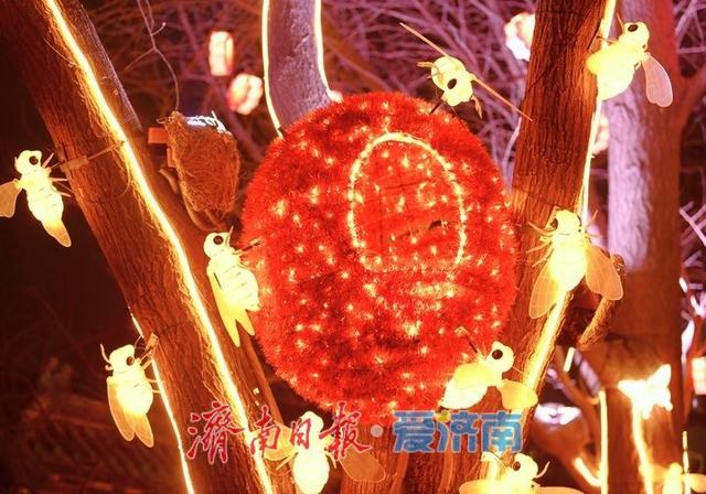 一年四季 泉在济南丨迎春花灯亮化测试，五龙潭公园点亮“花涧秘境”