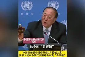 【每日社科】它，为啥能作为国礼出现在联合国安理会上？图片
