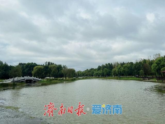 一年四季 泉在济南丨雨霁初晴 湿地公园展绝美“生态画卷”