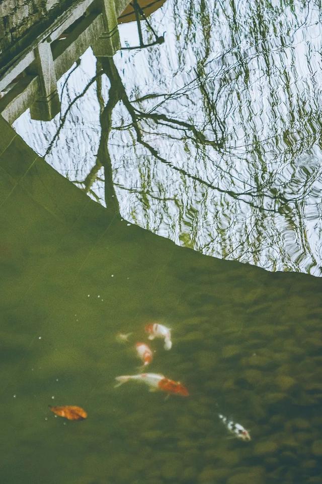 水上街道，漳州早有了！