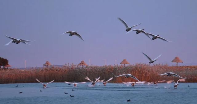 冬韵染南海 一帧一景皆画境