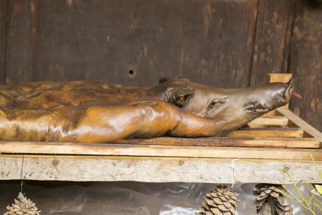 【冬季暖阳 凉山不凉】最全美食美景旅行攻略出炉！第一次来泸沽湖旅游必看！