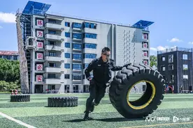 “六边形战士”咋夏练？直击上海特警总队“特战精英挑战赛”图片