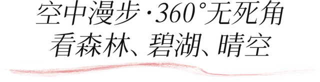 深圳环境五星的「网红公园」，不能再低调了