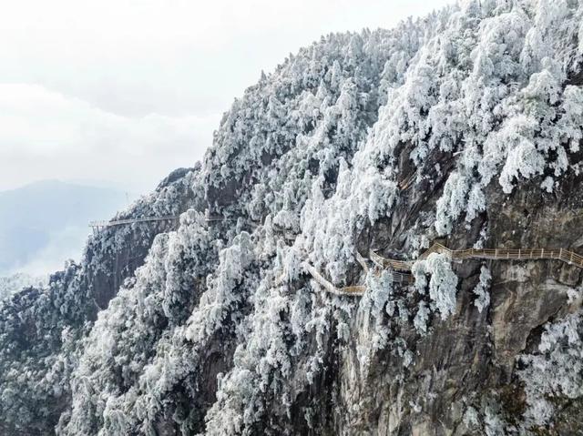 江西一夜入冬，可是雾凇怎么会这么好看！