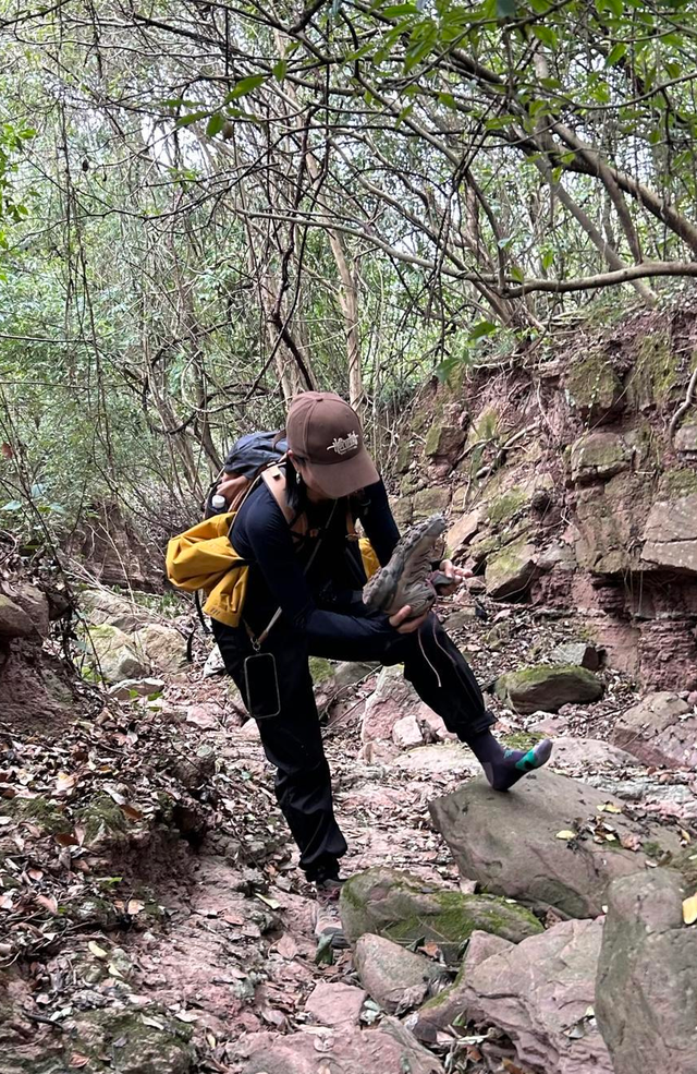 火了！全国徒步圈开启“画马”模式，成都龙泉山单日上百人组队“画马”