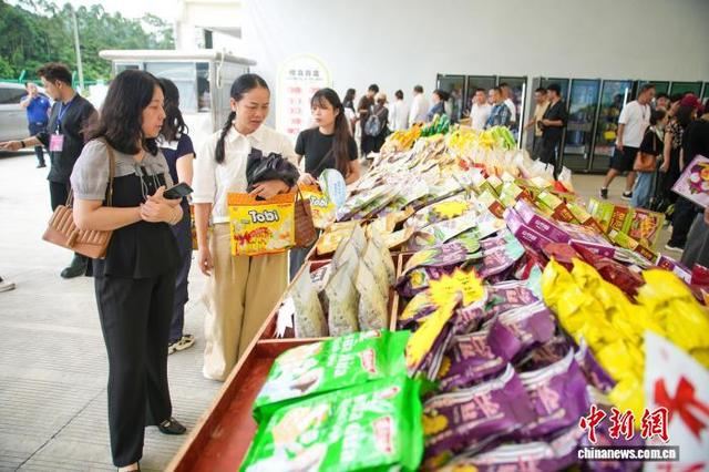 2025年广西·凭祥中越边关旅游节开幕