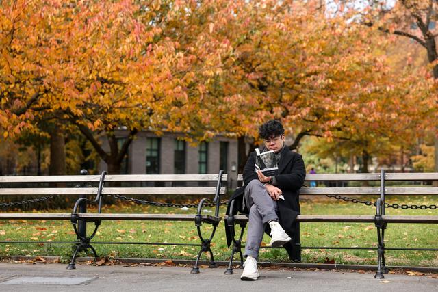 （外代一线）纽约：冬日休闲