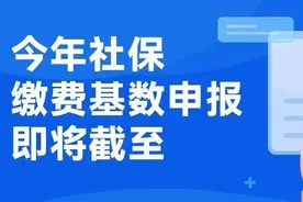 抓紧！今年社保缴费基数申报截至7月25日图片