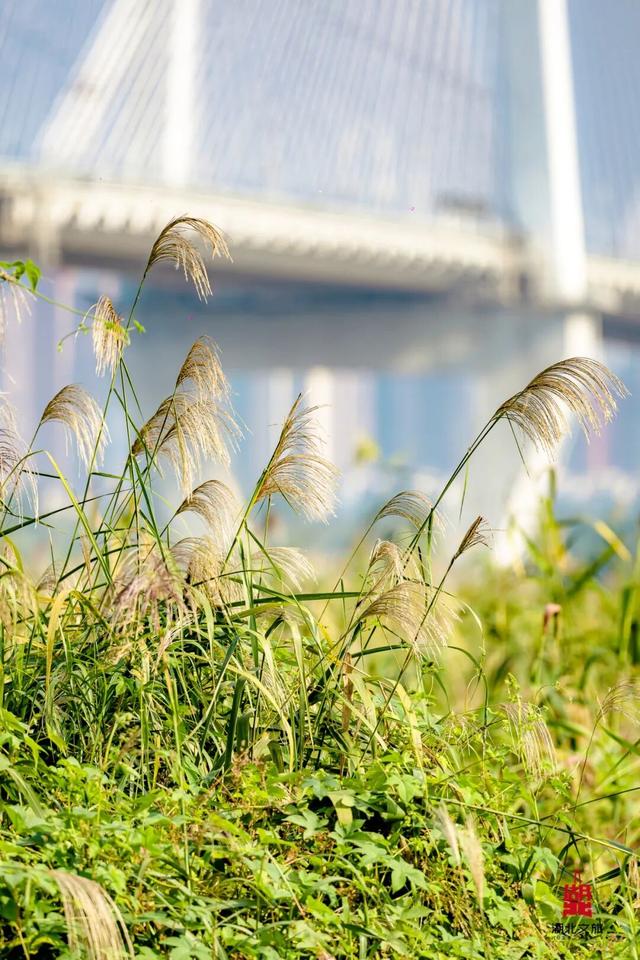 寒潮倒计时！再不来就迟了