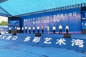 总投资241亿元！大渡口区74个项目开工、竣工图片