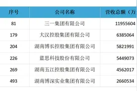 长沙6家企业上榜2024中国民营企业500强→图片