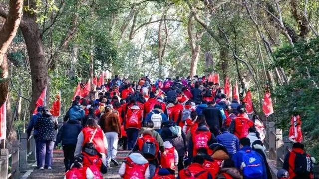 骏马迎新，登高佘山 拾光同行二十载·佘山登高记忆征集活动