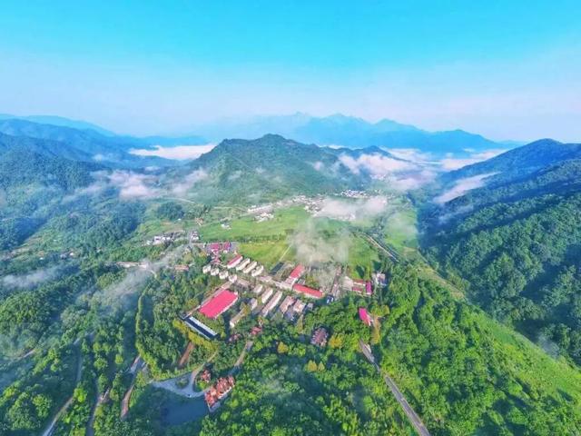 热搜！寒潮收尾！周末最高21℃！来光明东滩源、黄山茶林场兜兜…最低2折特惠！太值了！