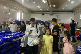 “五一”沪郊采蘑菇火了，旅游新玩法背后是上海重新壮大的蘑菇产业图片