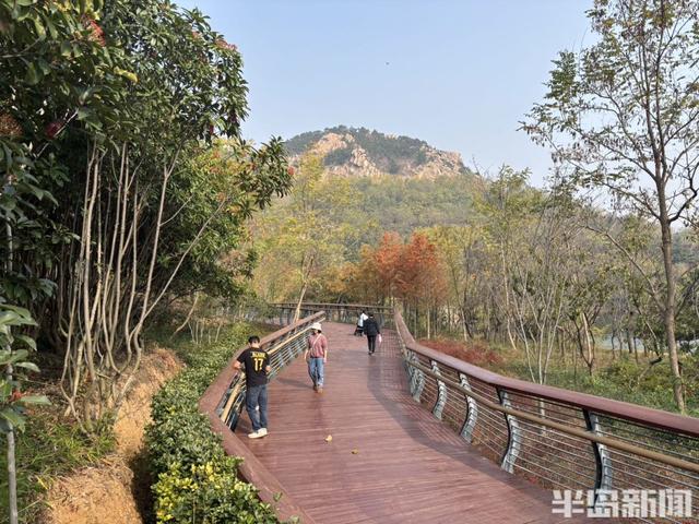 浮山南麓，藏着青岛最美冬日
