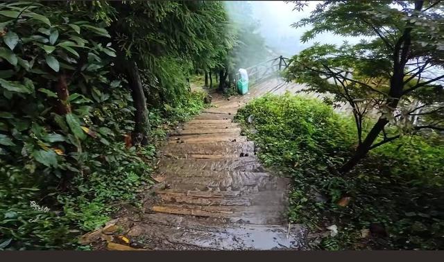 雨中徒步遇明星立牌 网友吐槽“瘆得慌”！景区回应：将设立提示牌