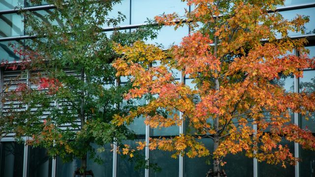 余杭初冬藏不住！这些秘境绝美~