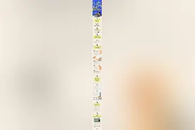 汪汪队立大功·第16个国际导盲犬日图片