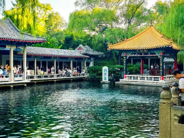 又到了美成“济南府”的季节