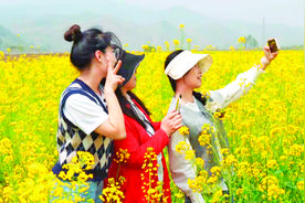 连片油菜吐芬芳 “花海经济”促农旅图片