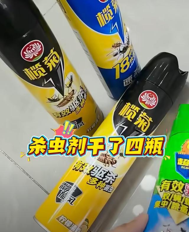 32楼家里爬满隐翅虫！女子喷了4瓶杀虫剂，导致老公杀虫剂中毒